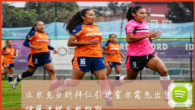 法尔克分析拜仁引进霍尔需先出售伊藤洋辉或戴维斯